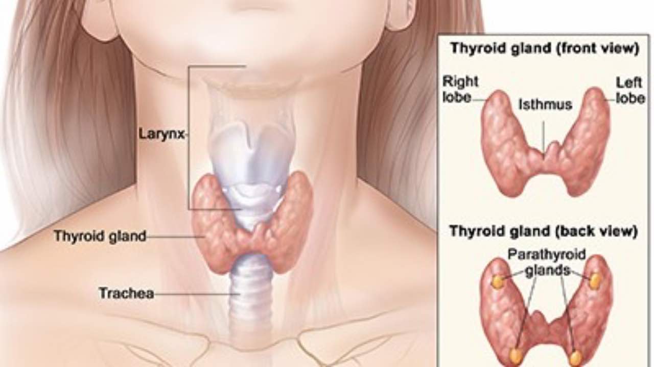 Tiroide: ecco i sintomi che non devi sottovalutare mai