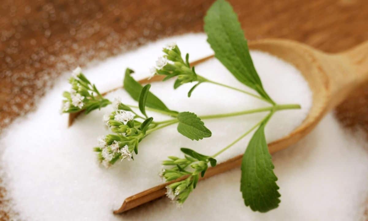 saccarina stevia dolcificante migliore