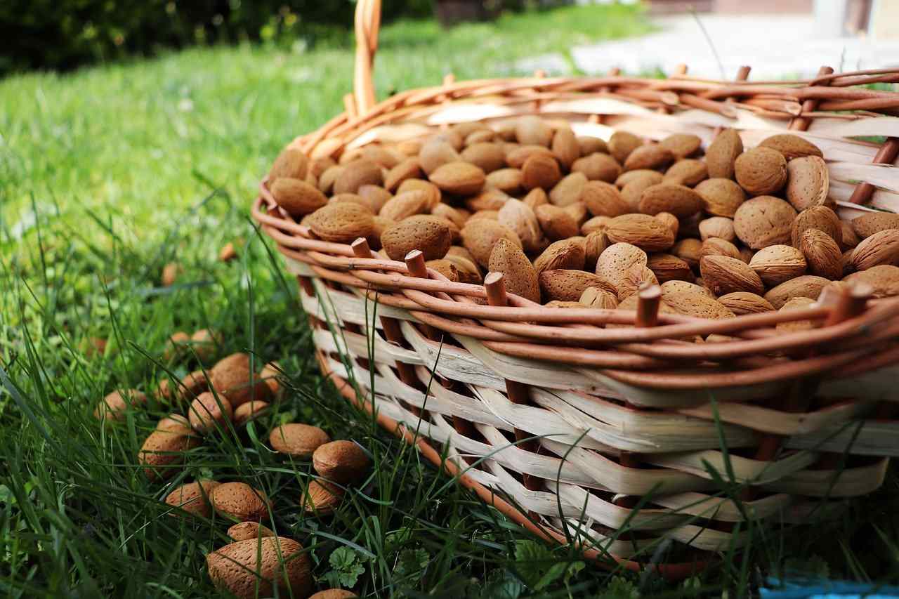 Kefir: ecco come farlo dalle bevande al cocco o alla mandorla