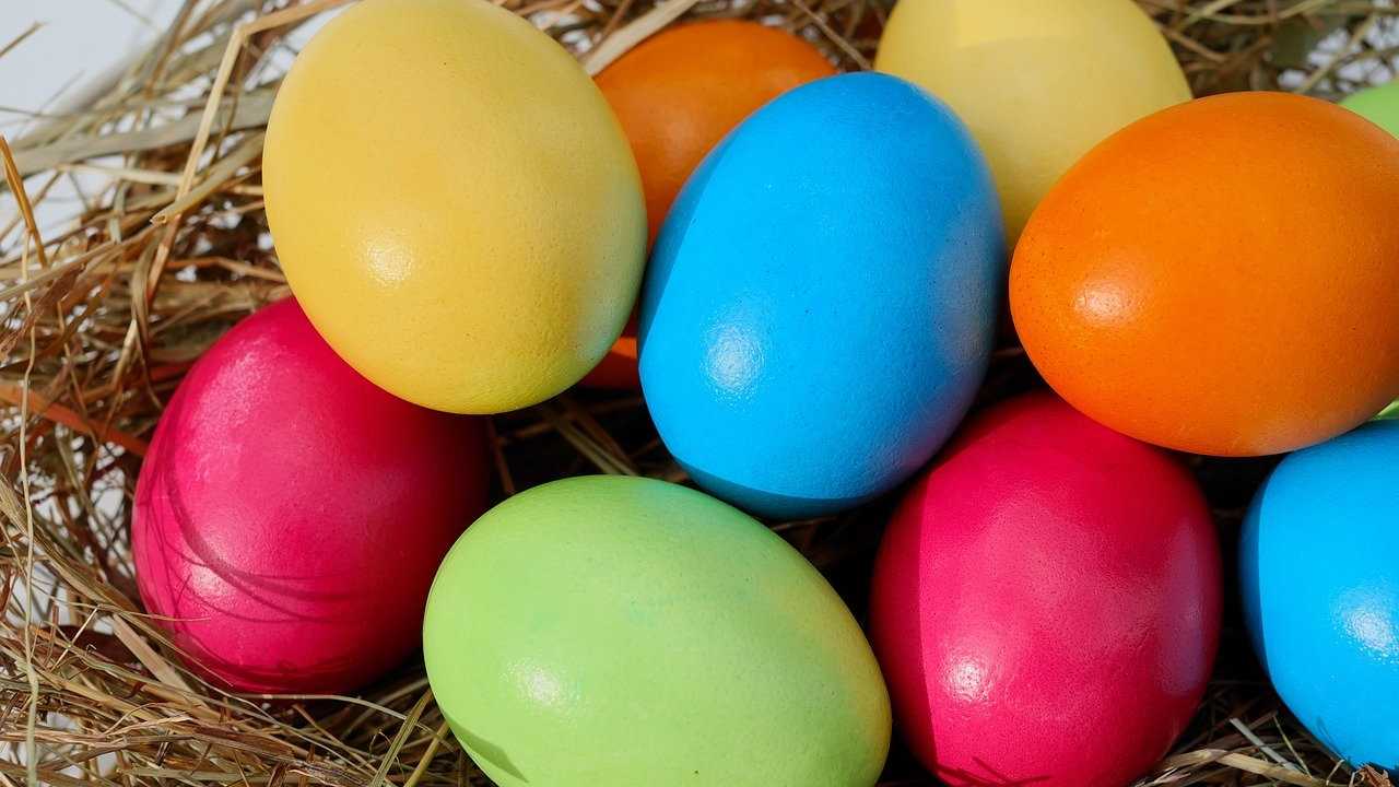 uova pasqua carta igienica