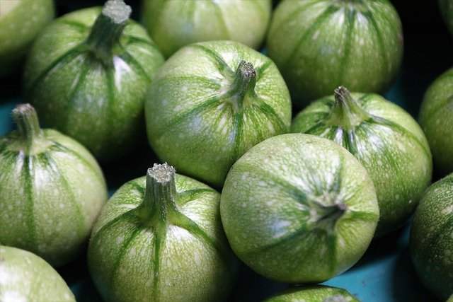 Pizzette di zucchine: la ricetta light che piace a tutta la famiglia!