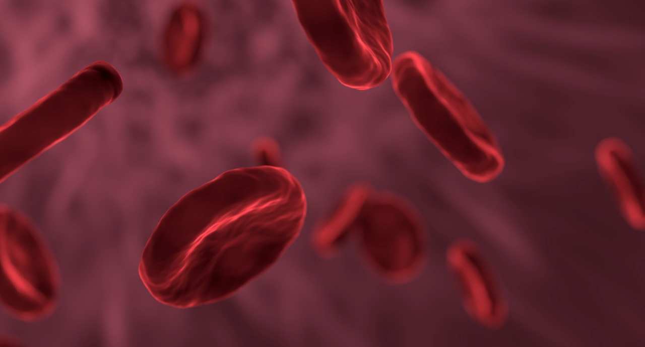 Ferro nel sangue