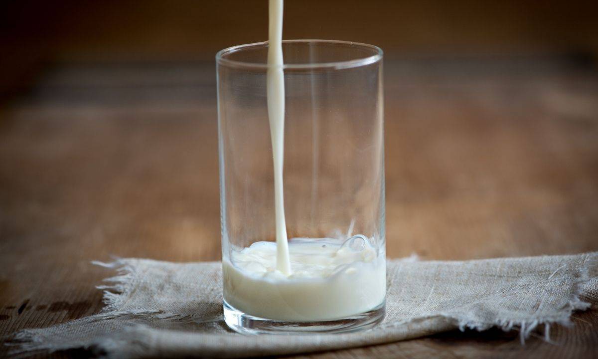 latte vaccino sostituti vegetali