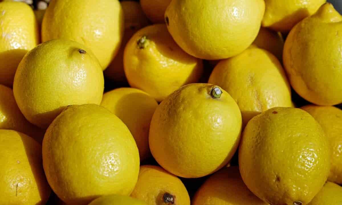 limoni come concimarli con cenere