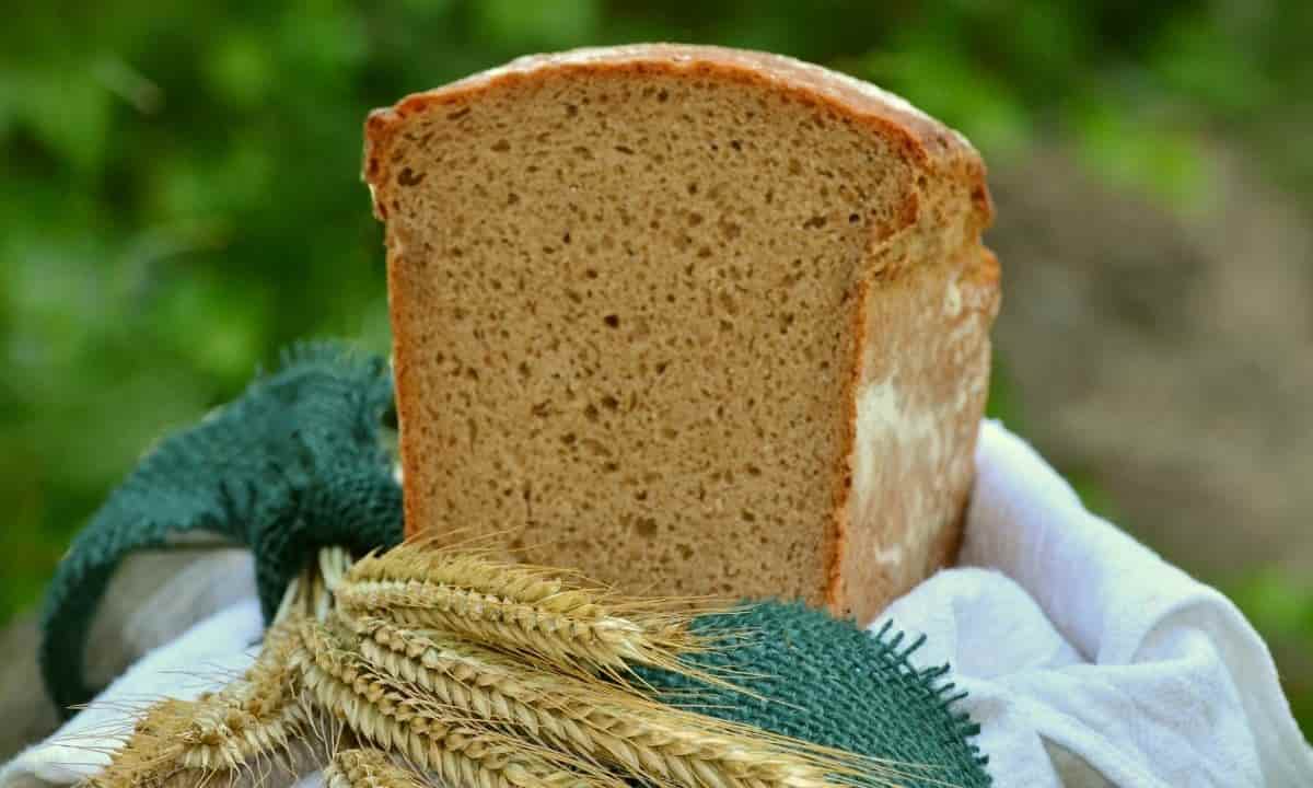 Pane senza farina ricetta