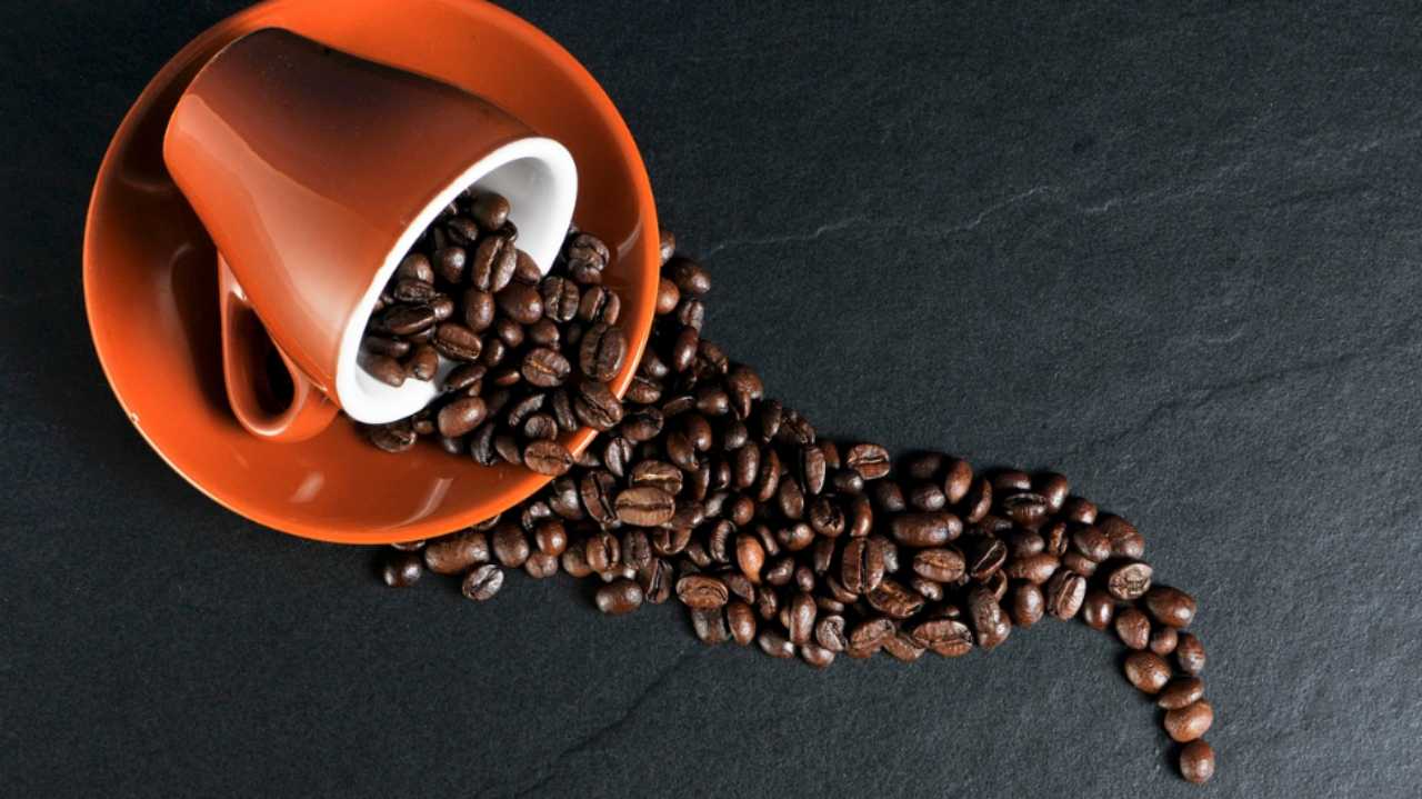 Caffè e bevande sostitutive
