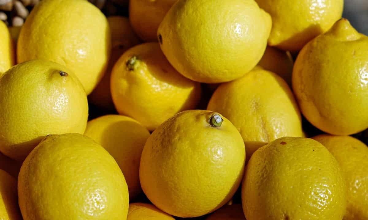 limoni utilizzo