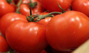 passata pomodoro migliore 