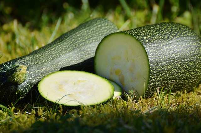 Chips di zucchine: una bontà incredibile