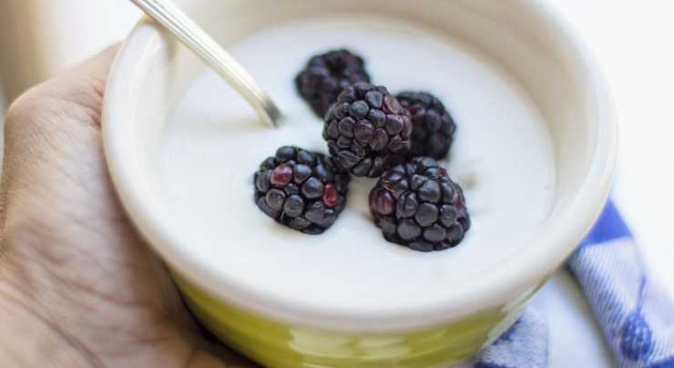 Si sconsiglia di consumare yogurt prima del pasto