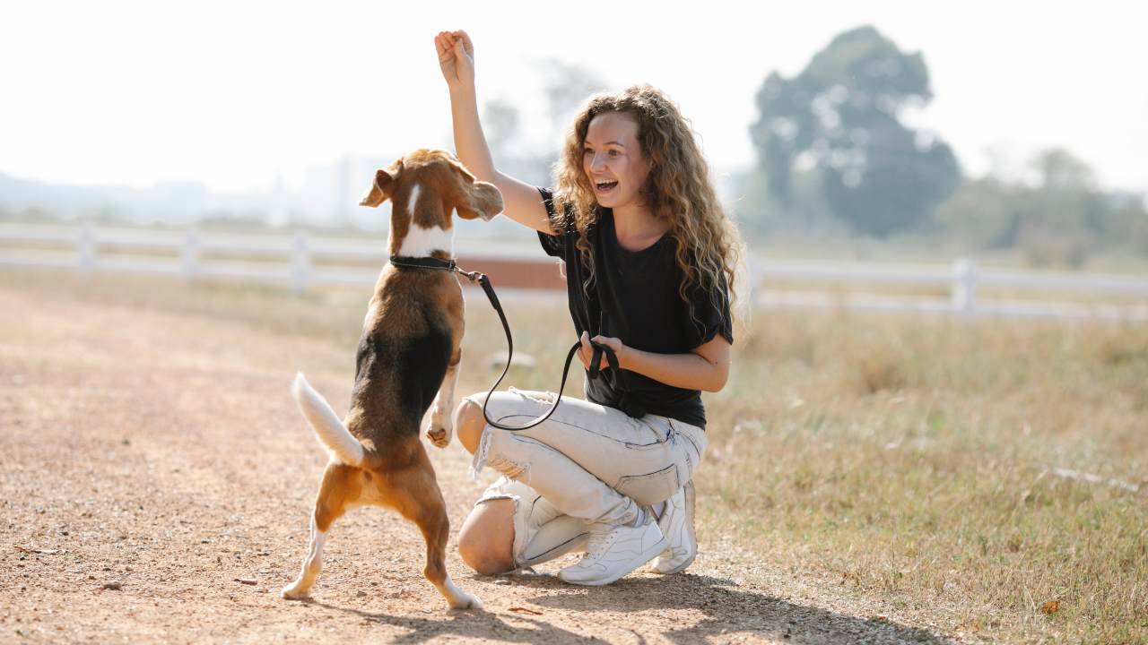 Allenati con il tuo cane (Pexels)