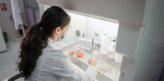 Analisi del sangue: ogni quanto vanno fatte? (Pexels)