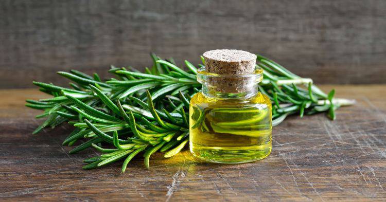 Rosemary oil (Easy Nature)
