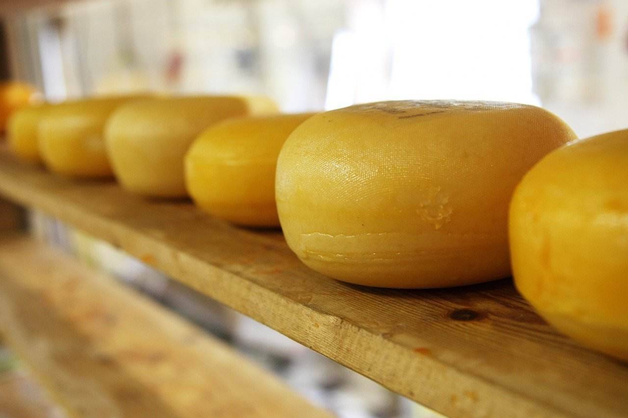 Formaggio fatto in casa? Come farlo facilmente