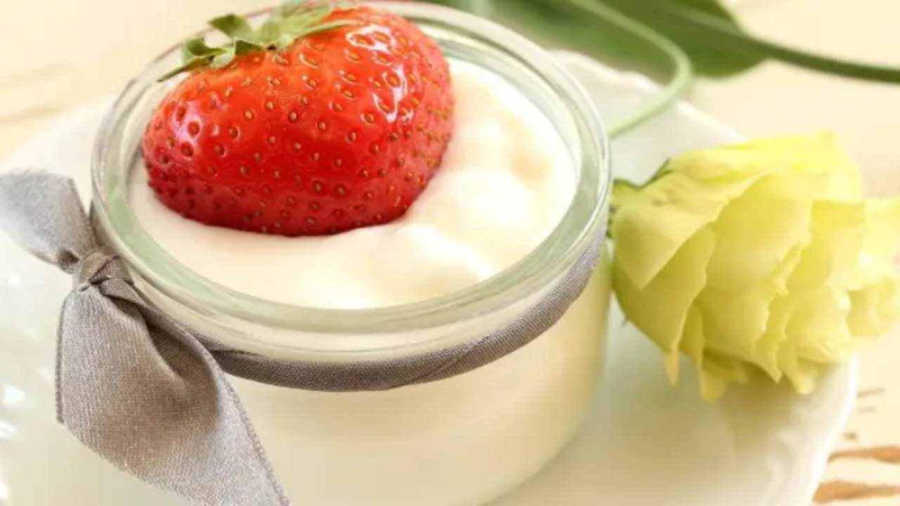 yogurt