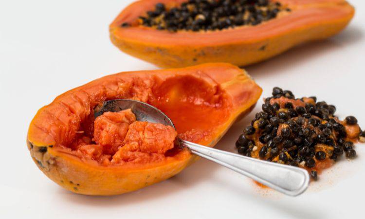 Papaya fermentata 