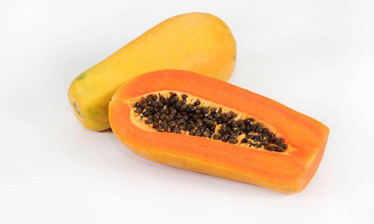 Papaya fermentata 