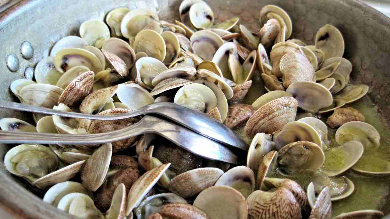 vongole addio sabbia