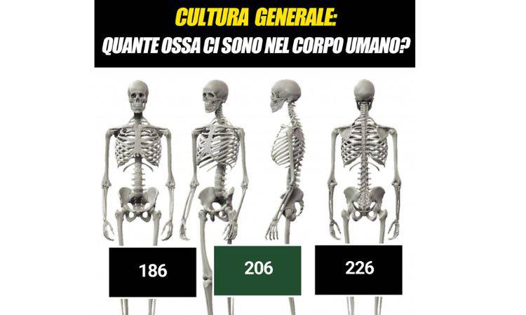 indovinello ossa corpo umano