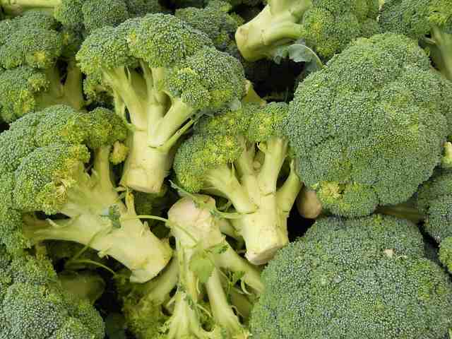 Broccoli: ecco la ricetta super gustosa