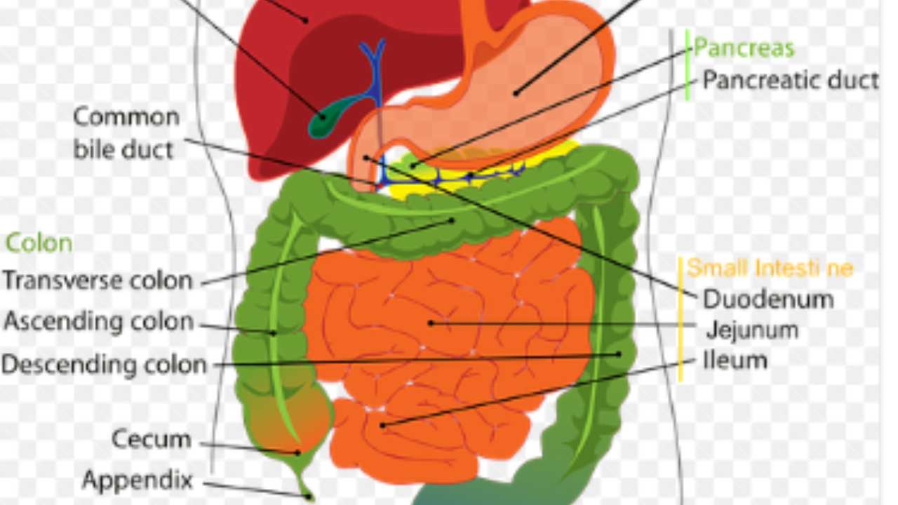 Cancro al pancreas_ il segno comune da non sottovalutare mai