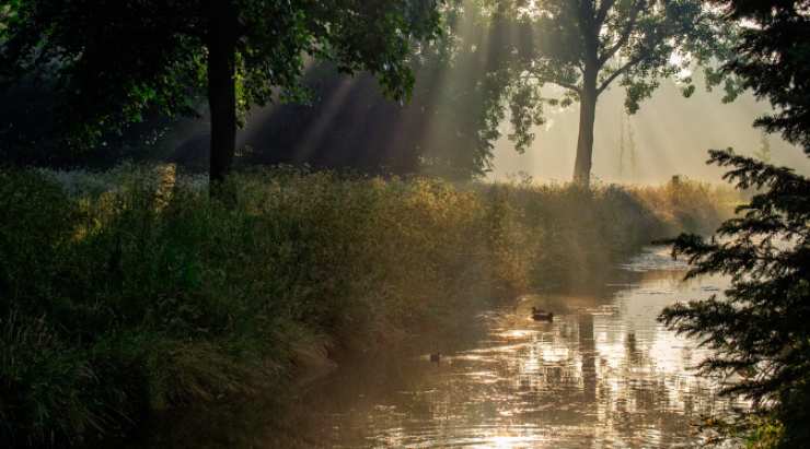 In questo lago c'è l'ameba senza cervello ma ci va ancora gente_ attenzione!