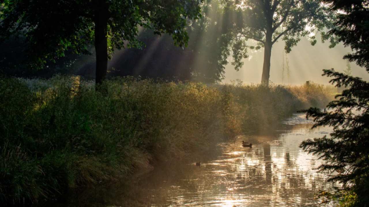 In questo lago c'è l'ameba senza cervello ma ci va ancora gente_ attenzione!