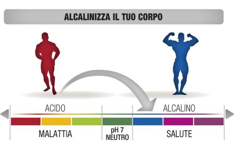 corpo alcalino