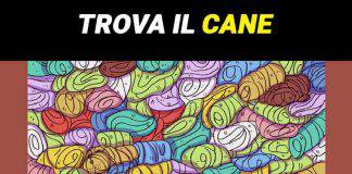Test: riuscite a trovare il cane?