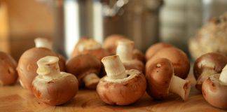 Funghi, ecco come essiccarli correttamente (Pexels)