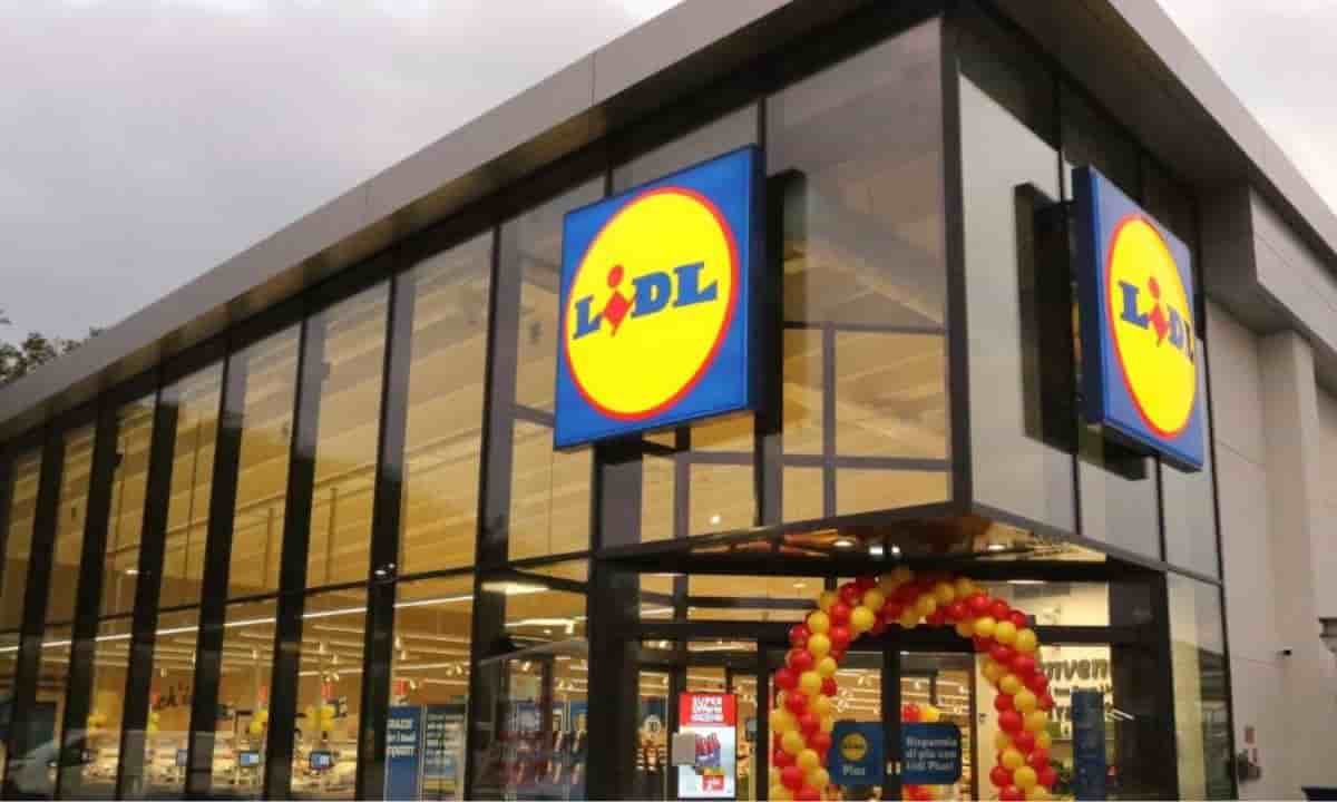 Lidl coniglietti cioccolato