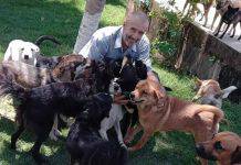 Ha deciso di vendere tutti i suoi averi per provvedere ad 800 cani randagi, la sua passione si è trasformata in una vera e propria occupazione