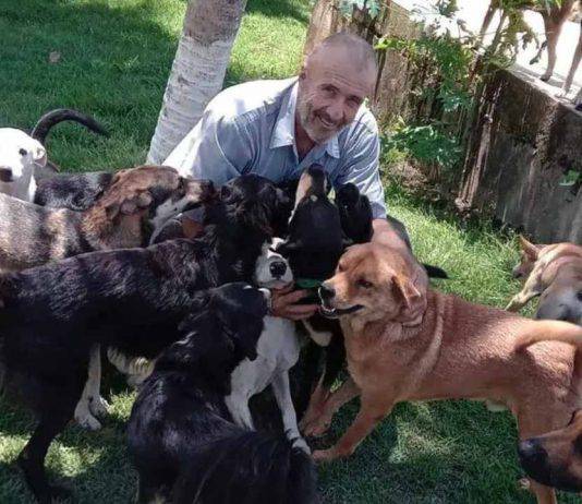 Ha deciso di vendere tutti i suoi averi per provvedere ad 800 cani randagi, la sua passione si è trasformata in una vera e propria occupazione