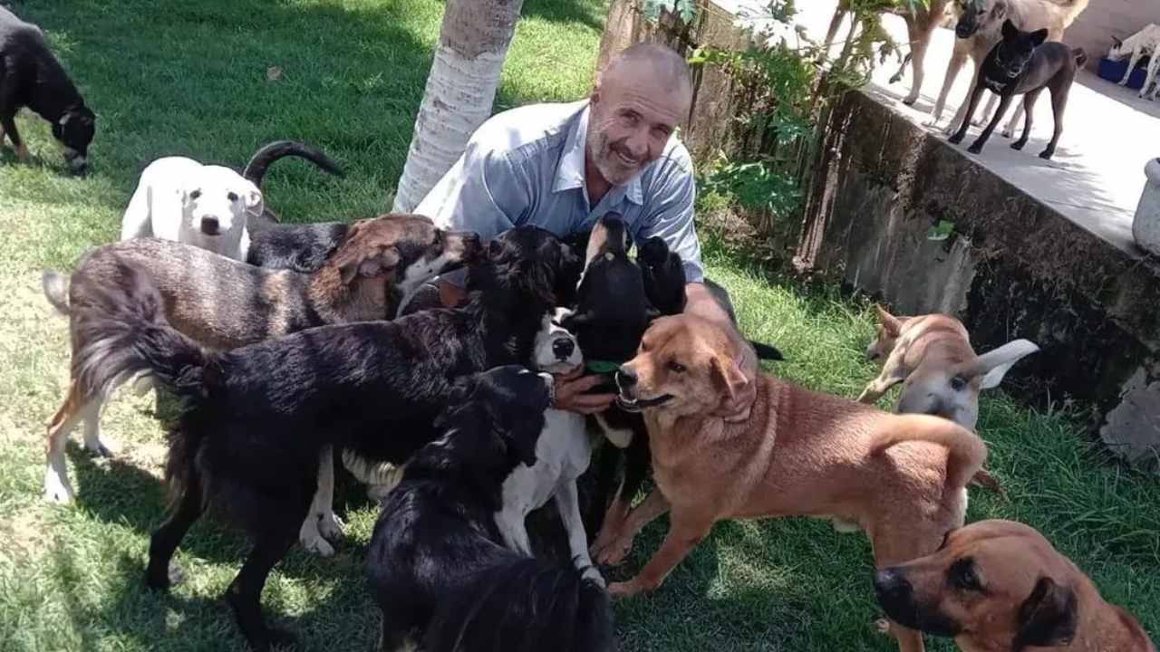 Ha deciso di vendere tutti i suoi averi per provvedere ad 800 cani randagi, la sua passione si è trasformata in una vera e propria occupazione