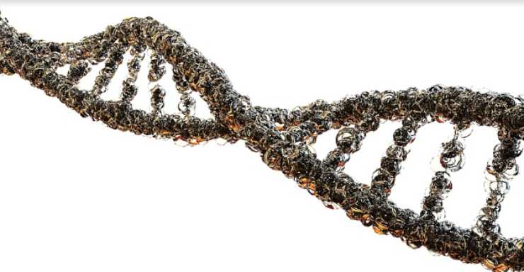 il fattore genetico tra i primi fattori dei capelli grigi2022-12-27