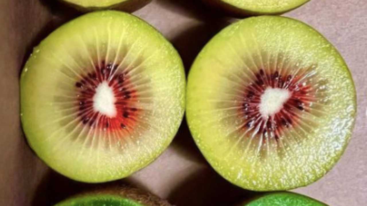 Kiwi Rosso prezzo proibitivo ma buonissimo 2022-01-01