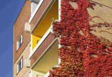 Case green ecco cosa succede