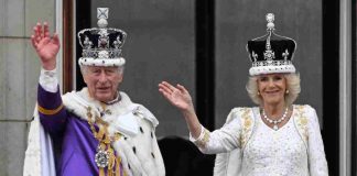 Futuro Camilla