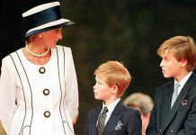 Vacanza Diana, Harry e William