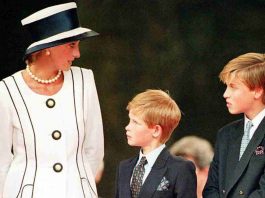 Vacanza Diana, Harry e William