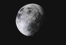 Ecco le ragioni per inviare il proprio DNA sulla Luna