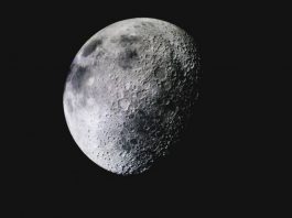 Ecco le ragioni per inviare il proprio DNA sulla Luna