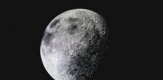 Ecco le ragioni per inviare il proprio DNA sulla Luna