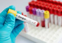Febbre Dengue, c'è da preoccuparsi? I rischi per l'uomo