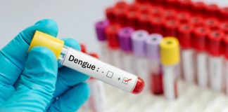 Febbre Dengue, c'è da preoccuparsi? I rischi per l'uomo