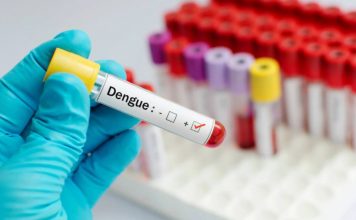 Febbre Dengue, c'è da preoccuparsi? I rischi per l'uomo