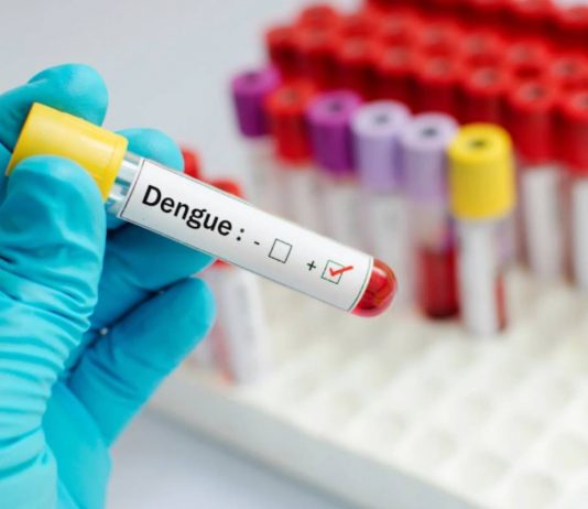 Febbre Dengue, c'è da preoccuparsi? I rischi per l'uomo