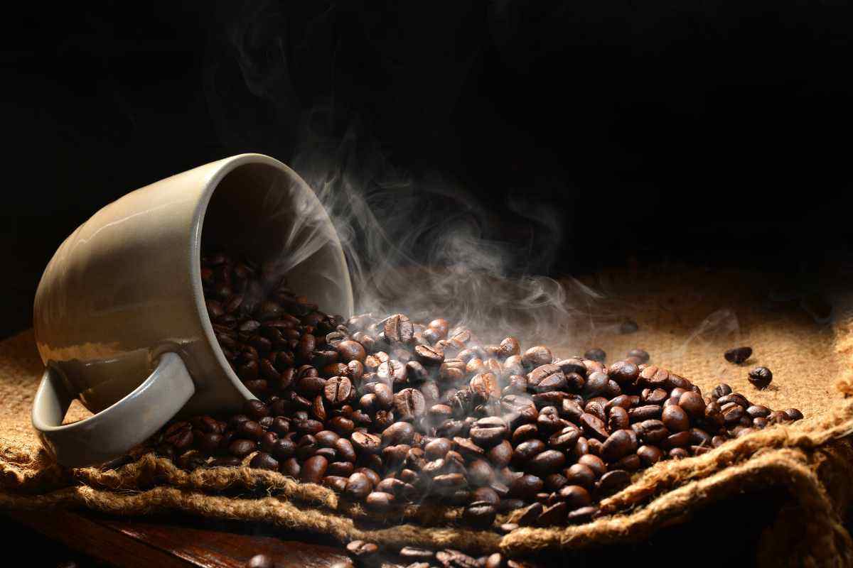 pellet di caffè