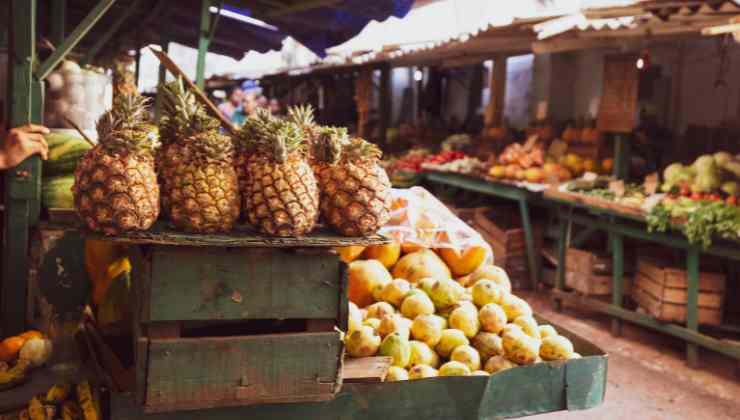 Cuba, furto di polli per la fame