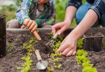 3 app per curare al meglio il tuo giardino